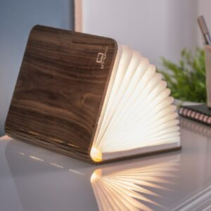 Lampe Livre Intelligente