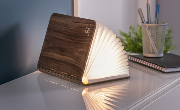 Lampe Livre Intelligente