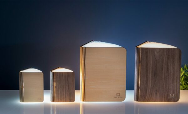 Lampe Livre Intelligente – Image 4