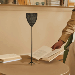 tapette à mouches dr skud