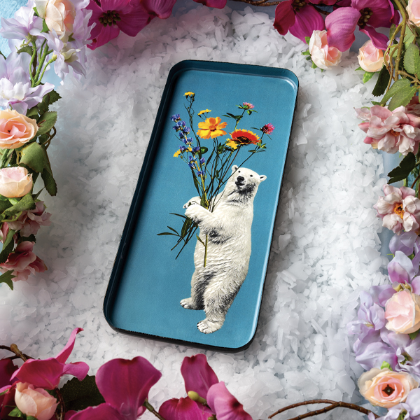 Vide poches rectangulaire Curiosito Ernest