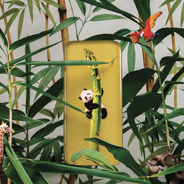 Vide Poches Rectangulaire "Curiosito" – Image 3